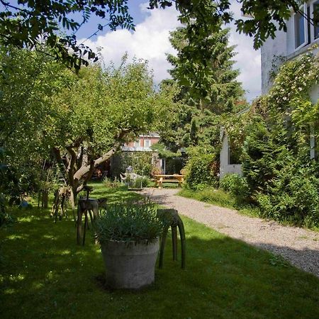 Achter Het Witte Huis Utrecht Exteriér fotografie